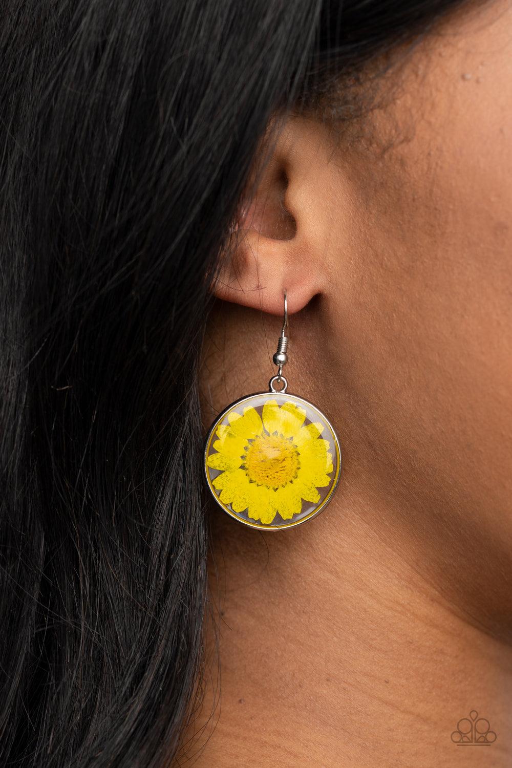 Paparazzi Accessories Forever Florals - Yellow Bordered in a silver fitting, a pressed yellow daisy is encased inside a glassy frame for an enchanted floral look. Earring attaches to a standard fishhook fitting. Sold as one pair of earrings. Jewelry