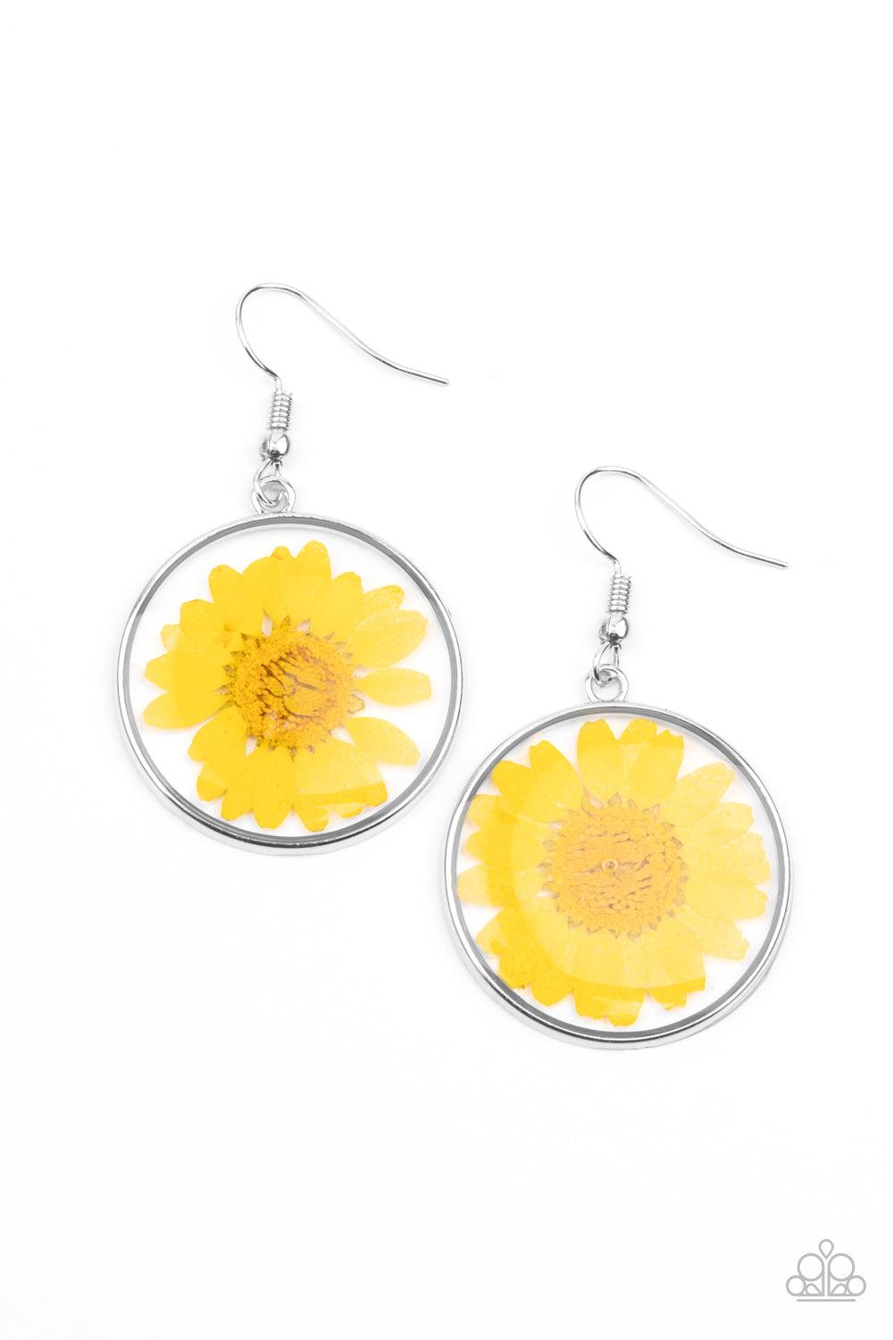 Paparazzi Accessories Forever Florals - Yellow Bordered in a silver fitting, a pressed yellow daisy is encased inside a glassy frame for an enchanted floral look. Earring attaches to a standard fishhook fitting. Sold as one pair of earrings. Jewelry