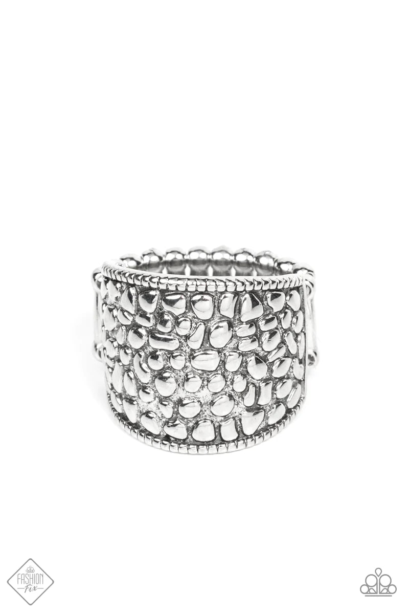 Paparazzi Accessories Dotted Decorum - Silver Brimming from edge to edge with a studded texture reminiscent of cobblestone, a wide silver band is bordered in dainty studs resulting in a free-spirited fashion atop the finger. Features a stretchy band for a